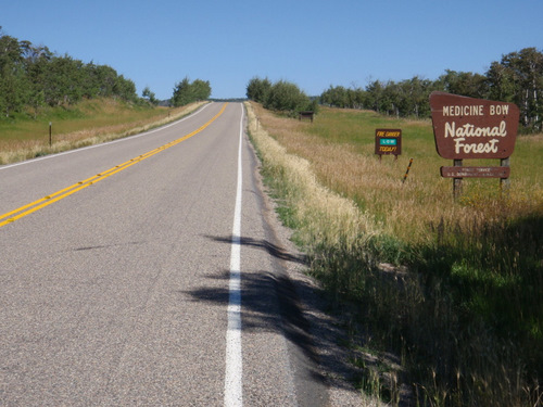 Entering Medicine Bow National Forest.